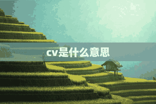 cv是什么意思(cv是什么意思简历)